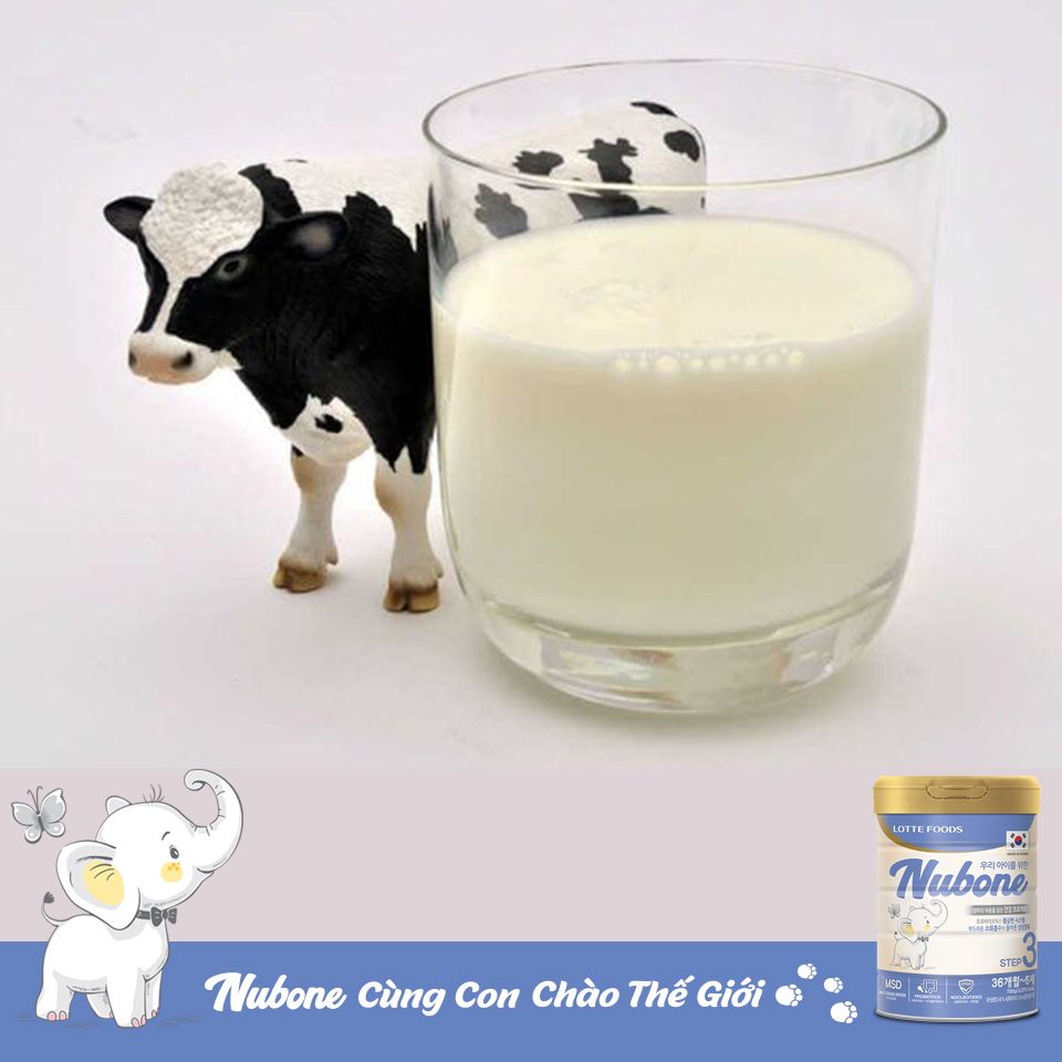 Nguồn nguyên liệu từ sữa bò tươi với đạm sữa chỉ trải qua một lần tác động nhiệt sẽ không gây biến tính và vón cục, giúp trẻ tiêu hóa tốt, hấp thu nhanh hơn.